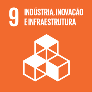 Ícone ODS 9