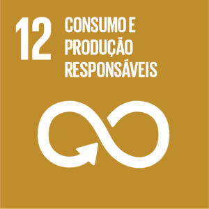 Ícone ODS 12