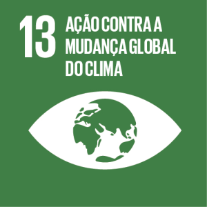 Ícone ODS 13